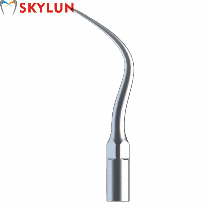 Teeth Whitening Usa - 5PCS P4 치과용 초음파 스케일러 팁